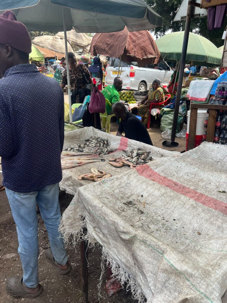 Erste Eindrücke vor Ort - Markt